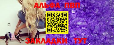 шишки Владимир