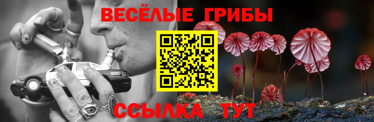 Галлюциногенные грибы ЛСД  Вход с VPN  Вязники  Галлюциногенные грибы MAGIC MUSHROOMS 